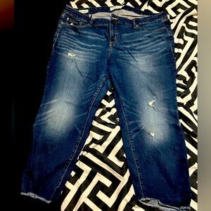Women's Blue Distressed Jean crops TORRID size 24